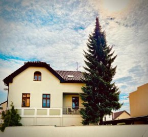 Apartmán U SMRKU Dvůr Králové Nad Labem